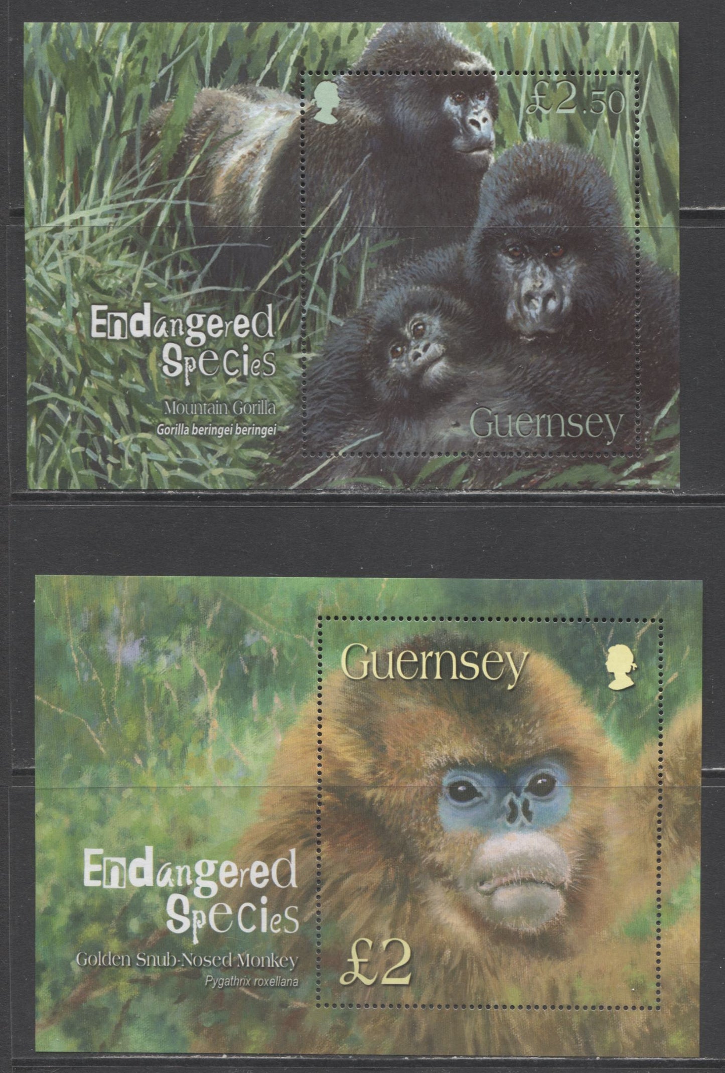 Lot 31 Great Britain - Guernsey SC#816/952 2004-2007 Endangered Species Issues, 2 VFNH Souvenir Sheets, Click on Listing to See ALL Pictures, 2017 Scott Cat. $16.5
