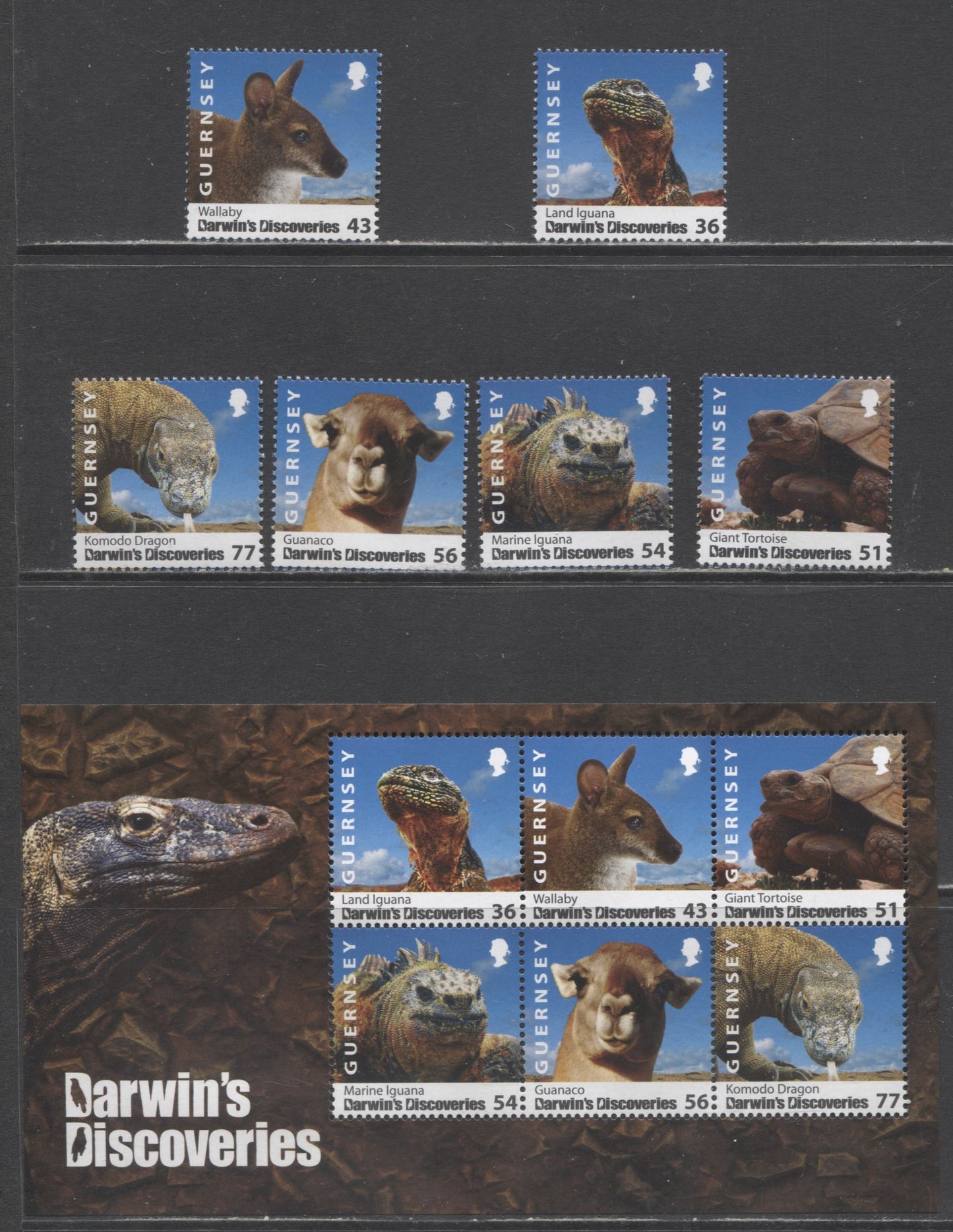 Lot 32 Great Britain - Guernsey SC#1022-1027a 2009 Darwin's Discoveries Issue, 7 VFNH Singles & Souvenir Sheet, Click on Listing to See ALL Pictures, 2017 Scott Cat. $18.8