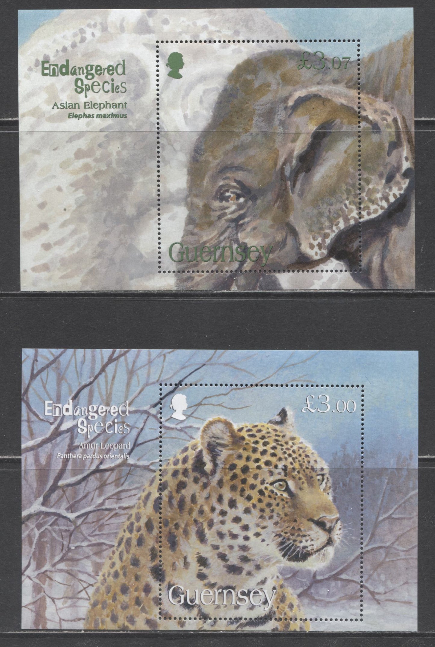Lot 33 Great Britain - Guernsey SC#1028/1075 2009-2010 Endangered Species Issues, 2 VFNH Souvenir Sheets, Click on Listing to See ALL Pictures, 2017 Scott Cat. $17.25