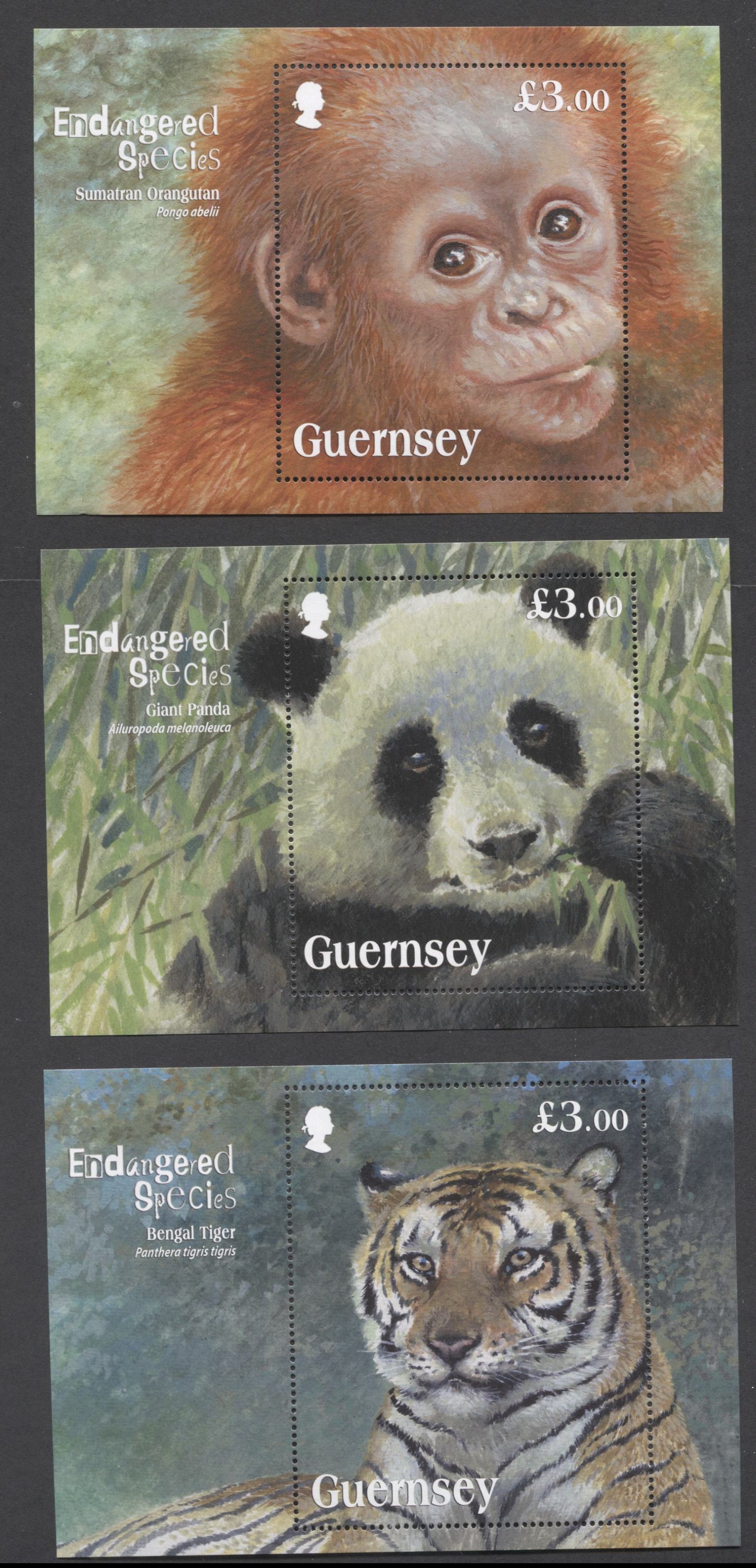 Lot 34 Great Britain - Guernsey SC#1153/1246 2012-2014 Endangered Species Issues, 3 VFNH Souvenir Sheets, Click on Listing to See ALL Pictures, 2017 Scott Cat. $27.75