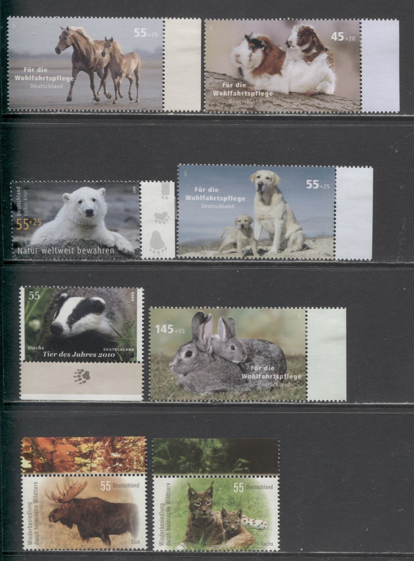 Lot 5 Germany SC#2553/B1001 2007-2012 Adult/Juvenile Animals, Polar Bears, Badger & Endangered Species, 9 VFOG Singles, Click on Listing to See ALL Pictures, 2017 Scott Cat. $17.65