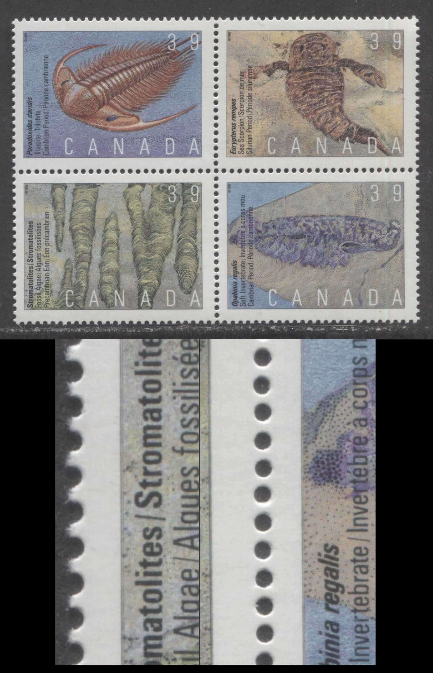 Canada #1282avar 39c Multicoloured Various Fossils, 1990 Prehistoric Life Issue, A VFNH Block of  4 DF2 Harrison Paper Showing Doubling Of Outer Framelines Due To Rightward Shift Of Lithography