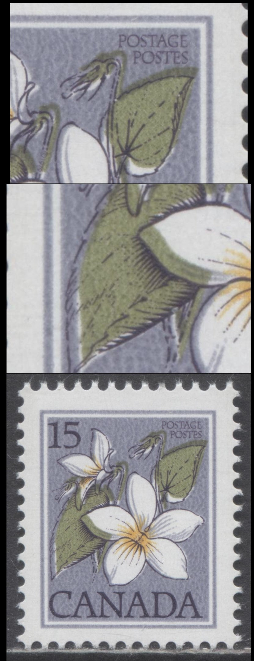 Lot 439 Canada #787iiivar 15c Canada Violet, 1977-1982 Floral & Environment Issue, A VFNH Single Bluish Violet Background, DF2/NF-fl Paper That Appears LF 3 Overall, Slight Upward-Left Shift Of Dark Purple Engraving & Upward-Right Shift Of Olive Green