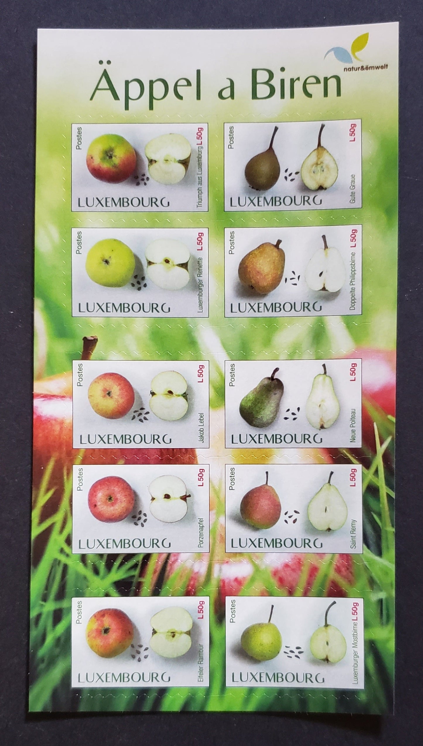 Lot 84 Luxembourg SC#1401 2015 Fruit Issue, A VFNH Booklet Pane Of 10, Click on Listing to See ALL Pictures, 2017 Scott Cat. $14