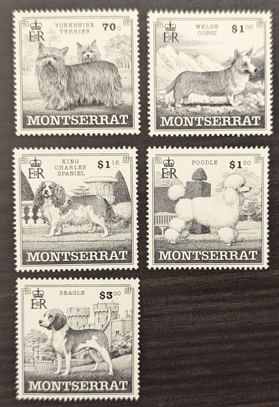 Lot 94 Montserrat SC#989-993 1999 Dogs Issue, 5 VFNH Singles, Click on Listing to See ALL Pictures, 2017 Scott Cat. $15.3