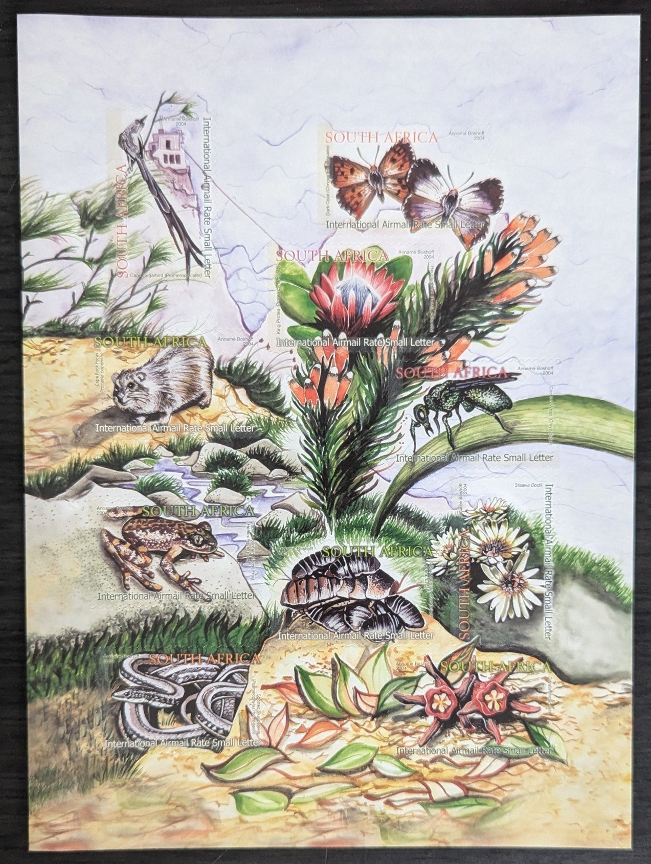 Lot 107 South Africa SC#C58 (10r) Multicolored 2004 Flora & Fauna Of Table Mountain Issue, A VFNH Sheet Of 10, Click on Listing to See ALL Pictures, 2017 Scott Cat. $17.5