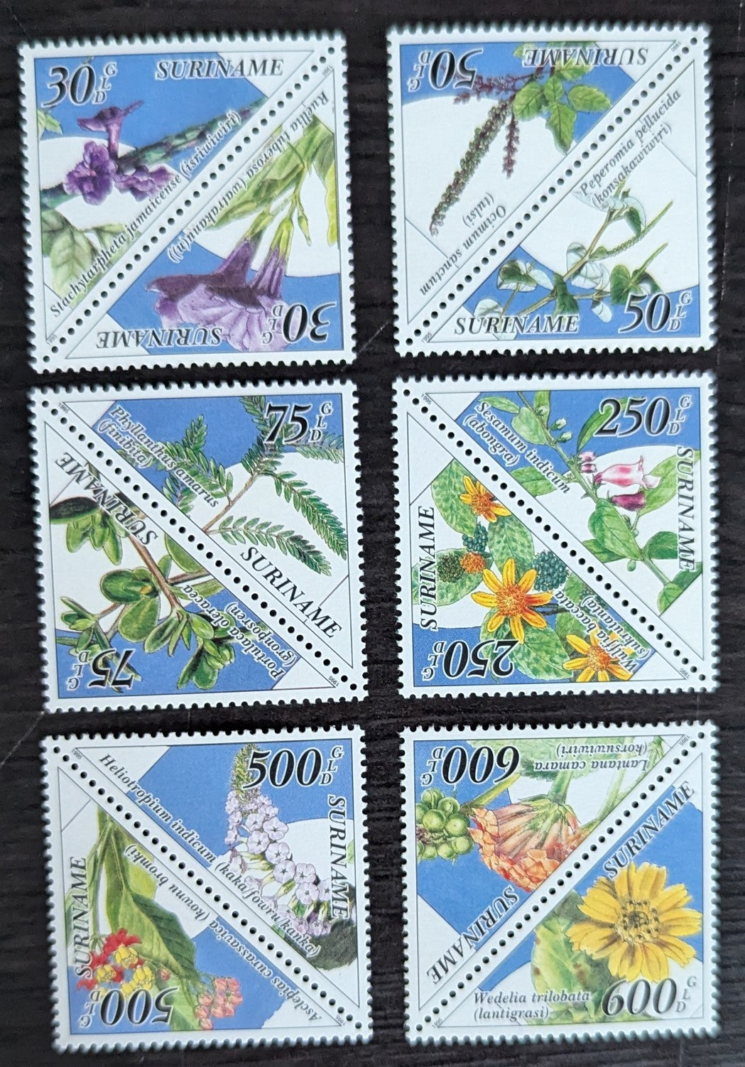 Lot 185 Surinam SC#999a-1009a 1995 Medicinal Plants Issue, 6 VFNH Pairs, Click on Listing to See ALL Pictures, 2017 Scott Cat. $29