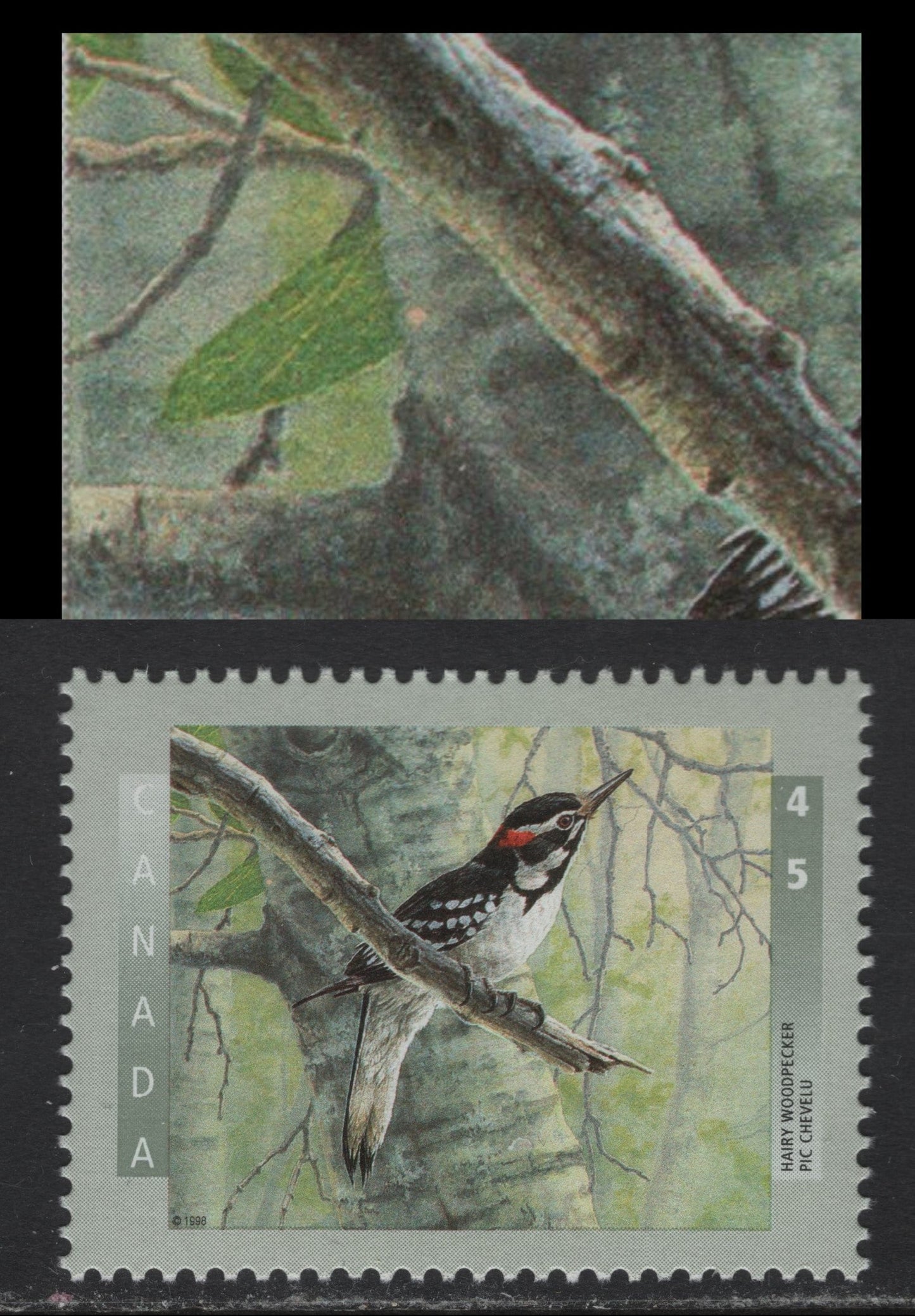 Lot 157 Canada #1710var 45c Multicoloured Hairy Woodpecker, 1998 Birds Of Canada Issue, A VFNH Single With Pink Spot On Tree Trunk Variety, Possibly Constant Or Tertiary