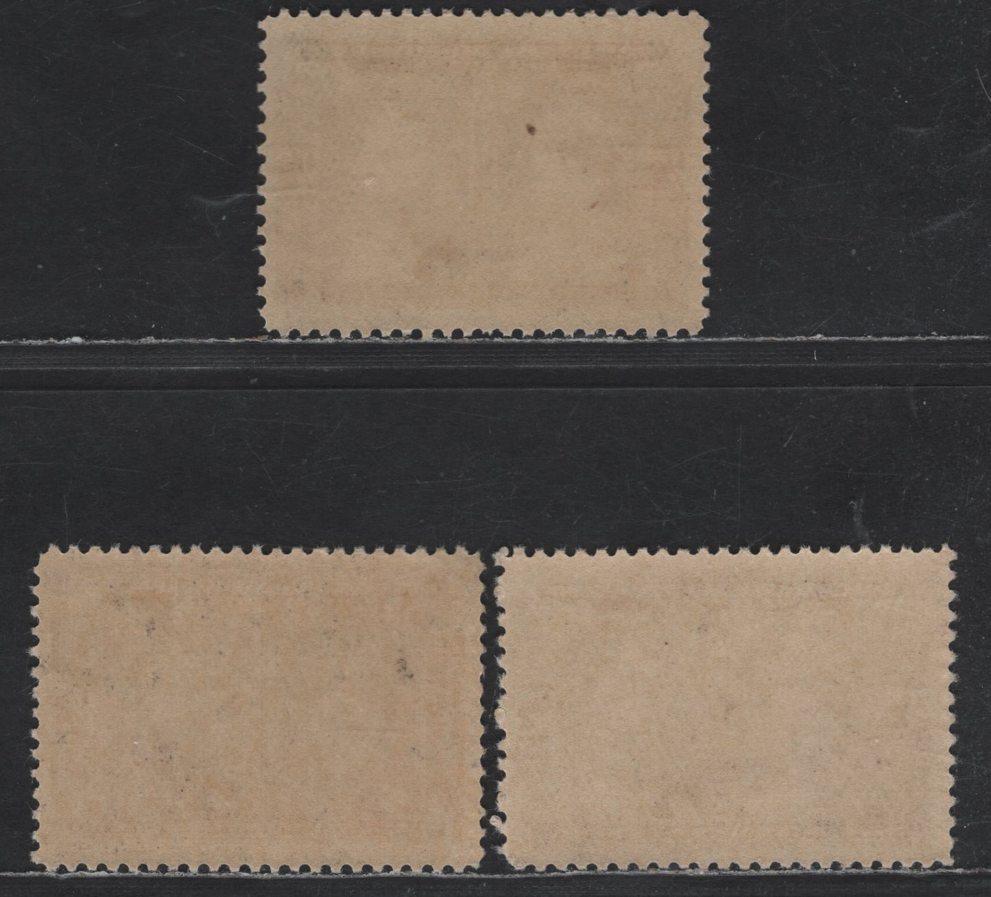 Canada #96 1/2c Black Brown, Brown Black & Deep Brown Black Prince & Princess Of Wales, 1908 Quebec Tercentenary Issue, 3 Fine NH Singles