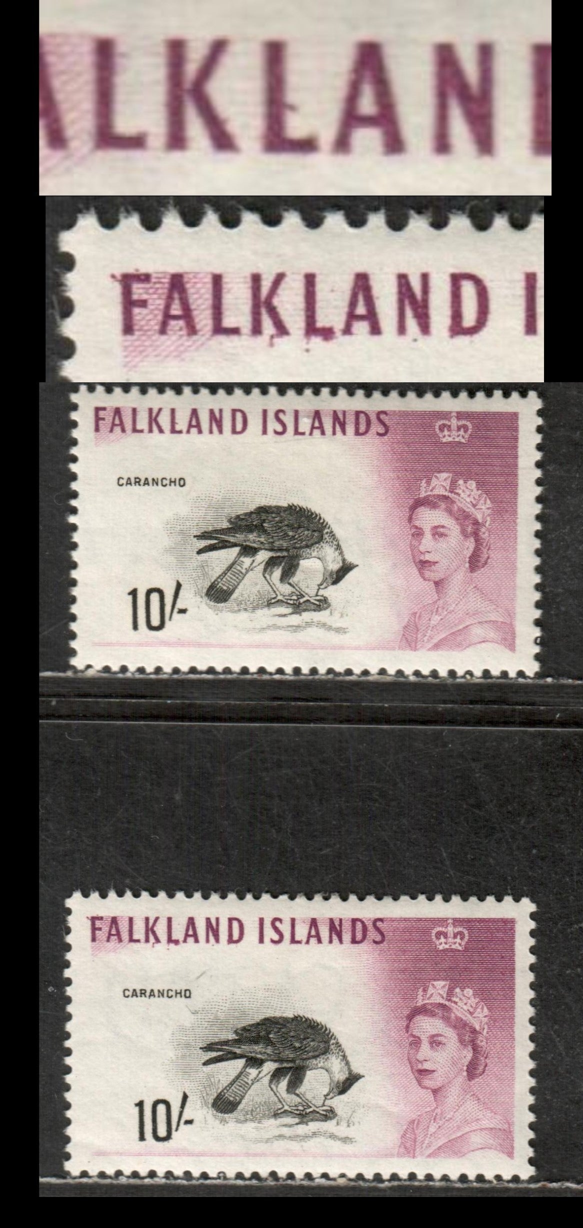 Lot 103 Falkland Islands Gibbons # 206 10/- Black & Red Purple, 1960-1966 Bird Definitives Issue, 2 VFOG Singles Waterlow Printings With Line From 'L' Of Falkland & Spatters Around Letters Of Falkland