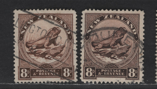 New Zealand SG#586b-c 8d Chocolate & Sepia Tuatara Lizard, 1936-1942 Pictorial Issue, 2 Very Fine Used Singles, Perfs 14x13.5 & 12.5
