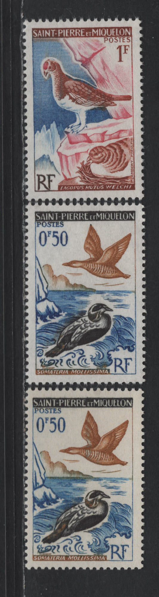 Lot 103 St Pierre & Miquelon SC#362-363 50c & 1fr Black, Ultramarine & Ocher - Red Brown, Ultramarine & Rose Elder Ducks - Rock Ptarmigan, 1963 Bird Issue, 3 F/VFNH Singles, Dull & High Fluorescent Paper, Unlisted In Scott