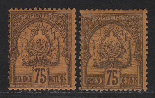 Lot 135 Tunisia SC#23 75c Violet on Orange Coat of Arms, 1888-1902 Arms Issue, 2 VG/FOG Singles