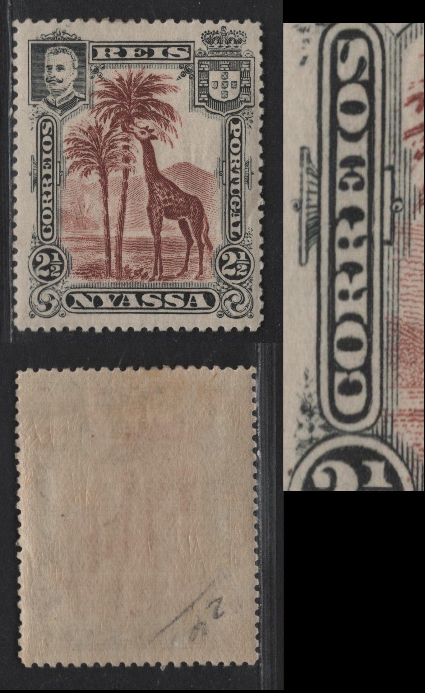 Nyassa SC#26var 2.5r Red Brown & Black Giraffe, 1901 Pictorial Issue, A VFNH Single, Major Re-Entry , Left Frame Ornament Doubled