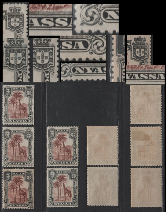 Lot 182 Nyassa SC#26 & 26var 2.5r Red Brown & Black Giraffe, 1901 Pictorial Issue, 5 F/VFOG Singles, Minor Re-Entries, Showing Doubling In Highlighted Areas, Perf 14