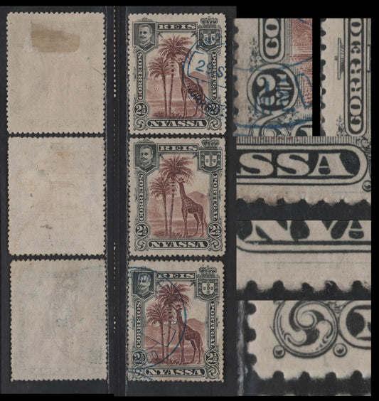 Nyassa SC#26var 2.5r Black & Red Brown Giraffe, 1901 Pictorial Issue, 3 Very Fine Used Singles, Examples Showing Scratches In Margins