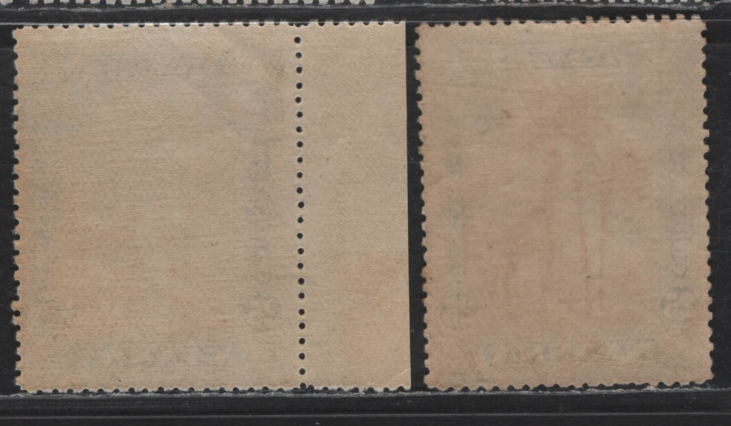 Lot 207 Nyassa SC#31var 25r Black & Orange Giraffe, 1901 Pictorial Issue, 2 F/VFNH Singles, Perfs 14.5 & 14