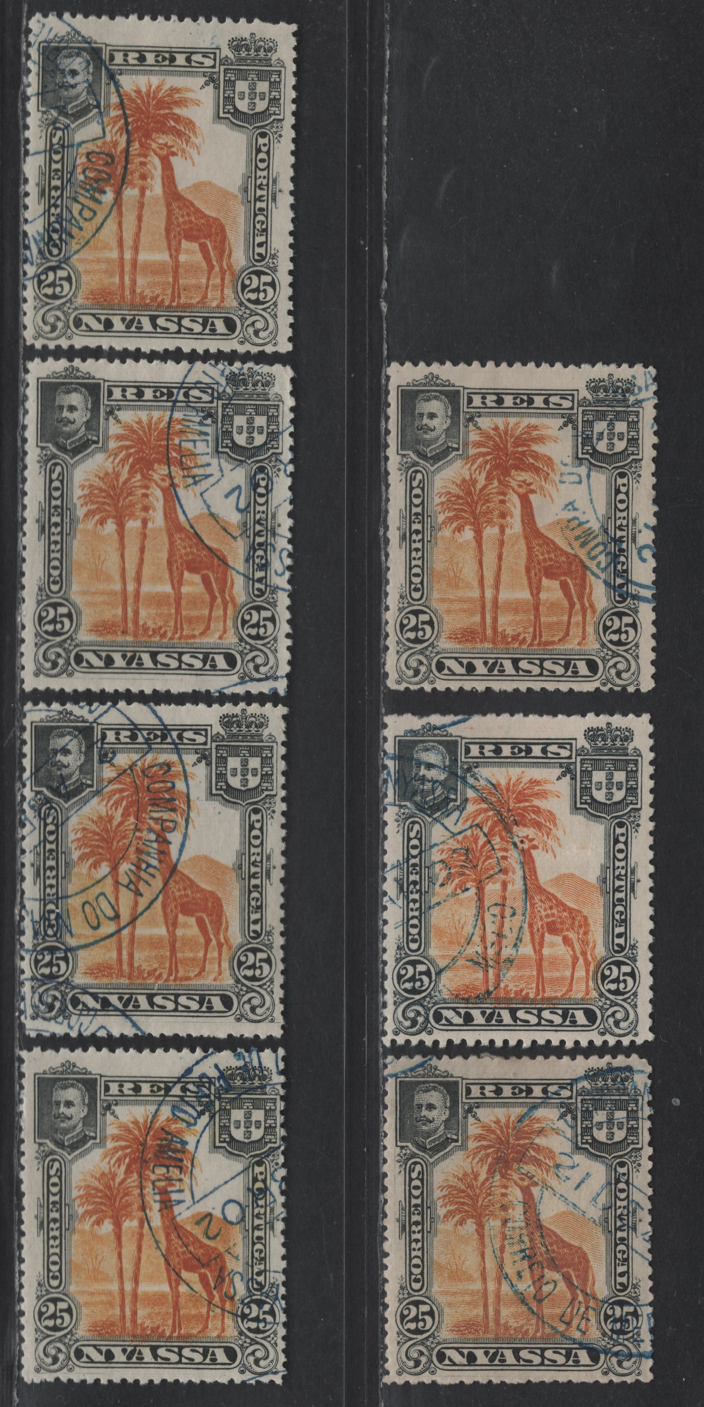 Lot 212 Nyassa SC#31var 25r Black & Orange Giraffe, 1901 Pictorial Issue, 7 Very Fine Used Singles, Perfs 14.5, 14.75, 14.5x14.75, 15x14.75, 14.5x15 & 14.25x14, Includes 2 Shades Of Perf 14.75