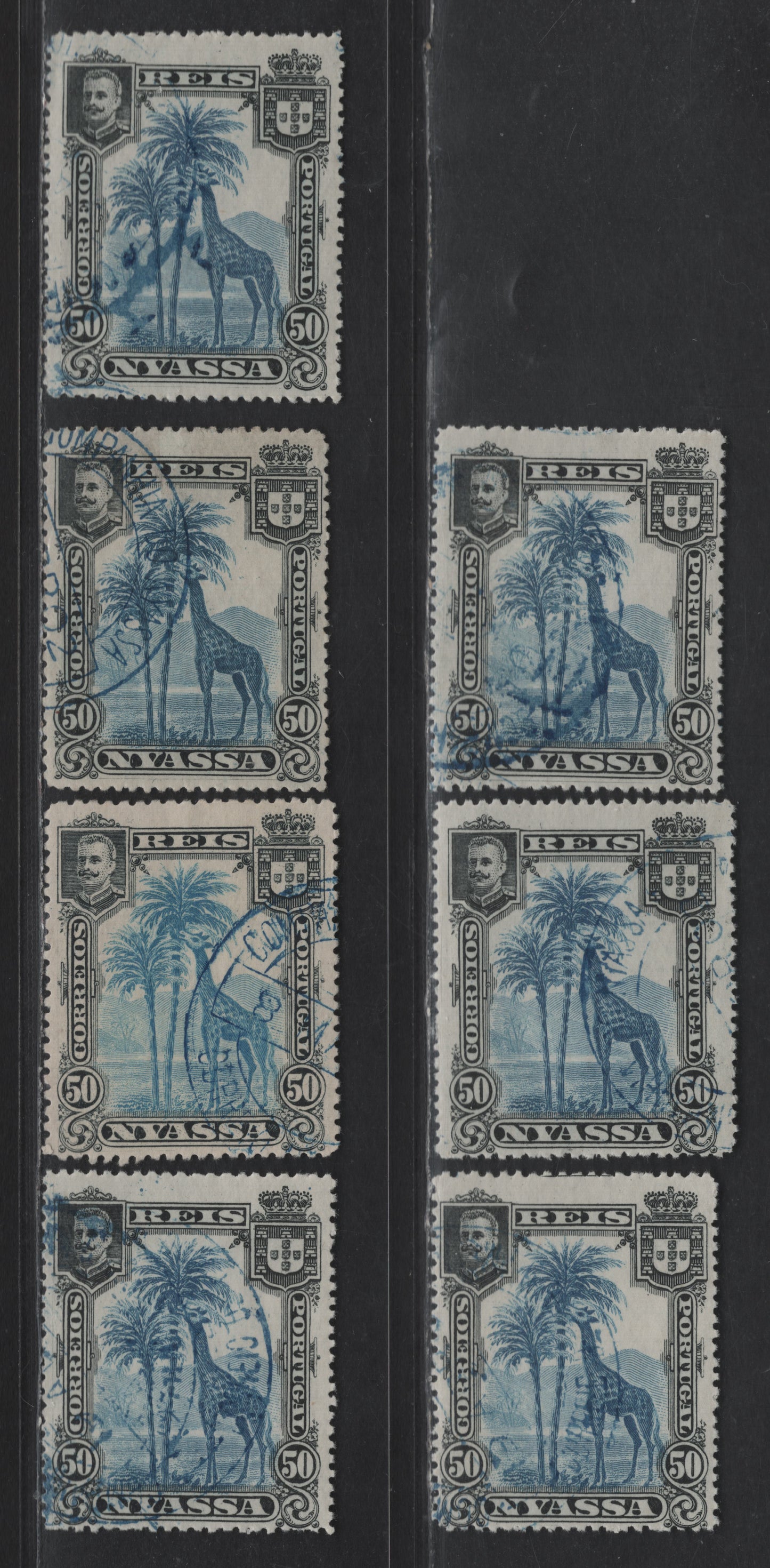 Nyassa SC#32var 50r Black & Dark Blue - Black & Bright Blue Giraffe, 1901 Pictorial Issue, 7 Fine/Very Fine Used Singles, Perfs 14.5x15, 15x14.75, 14.75, 14.5, 13.75, 14.75x14.5 & 14.5x14.75