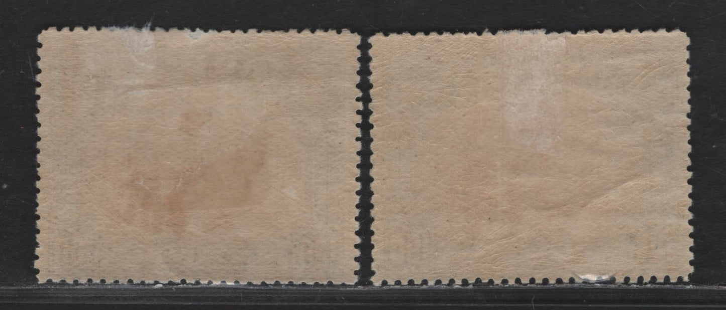 Nyassa SC#35 100r Black & Brownish Bistre Camel, 1901 Pictorial Issue, 2 VFOG Singles, Two Shades Of Perf 14.5