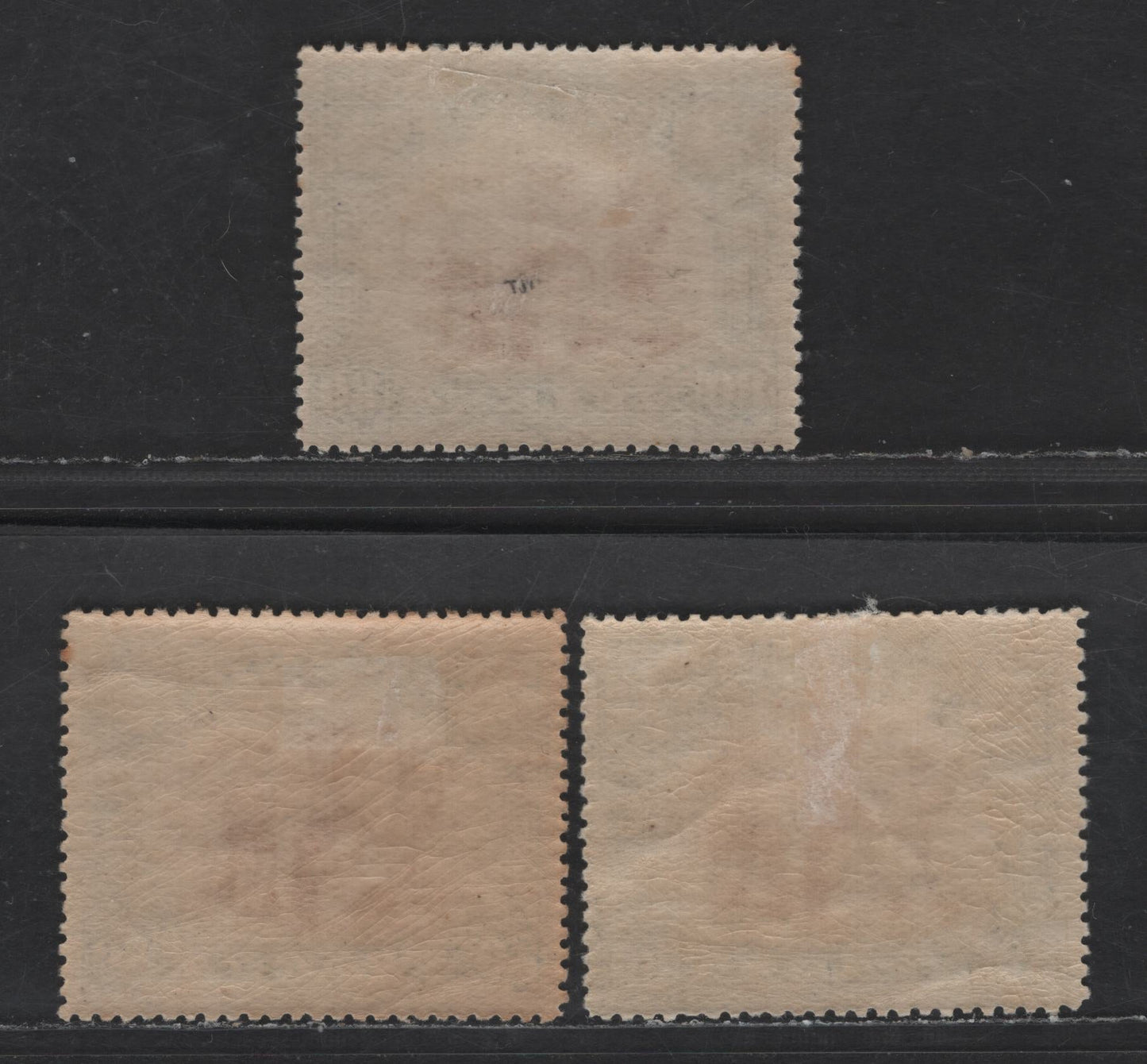 Lot 228 Nyassa SC#34 80r Black & Lilac Camel, 1901 Pictorial Issue, 3 VFOG Singles, Perfs 14 & 14.25, Two Shades Of Perf 14