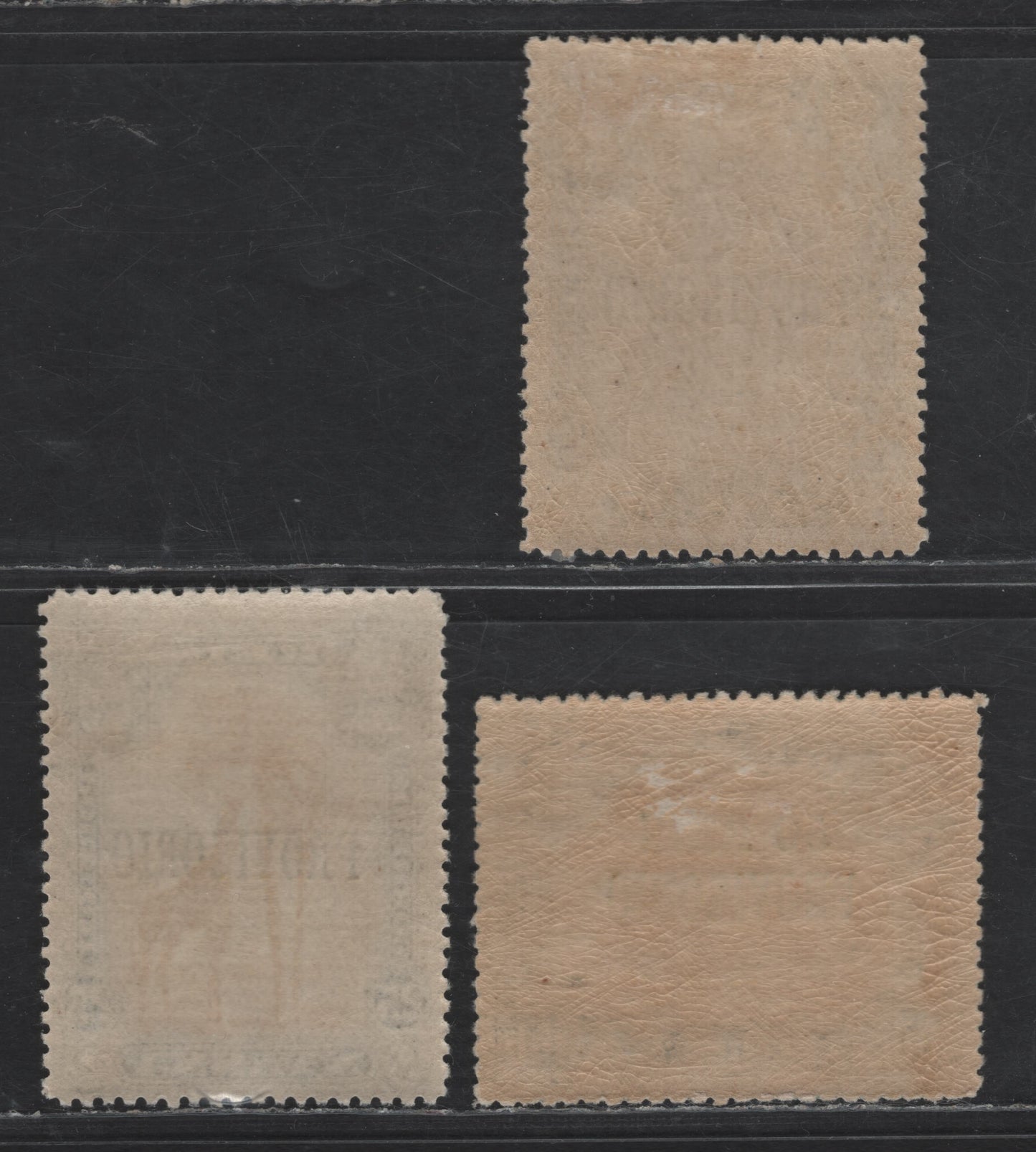 Nyassa SC#42-43, 50 15r - 50r on 100r Black & Orange - Black & Brown Bistre Camels, 1903-1910 Provisorio Overprinted Issue, 4 VFOG Singles