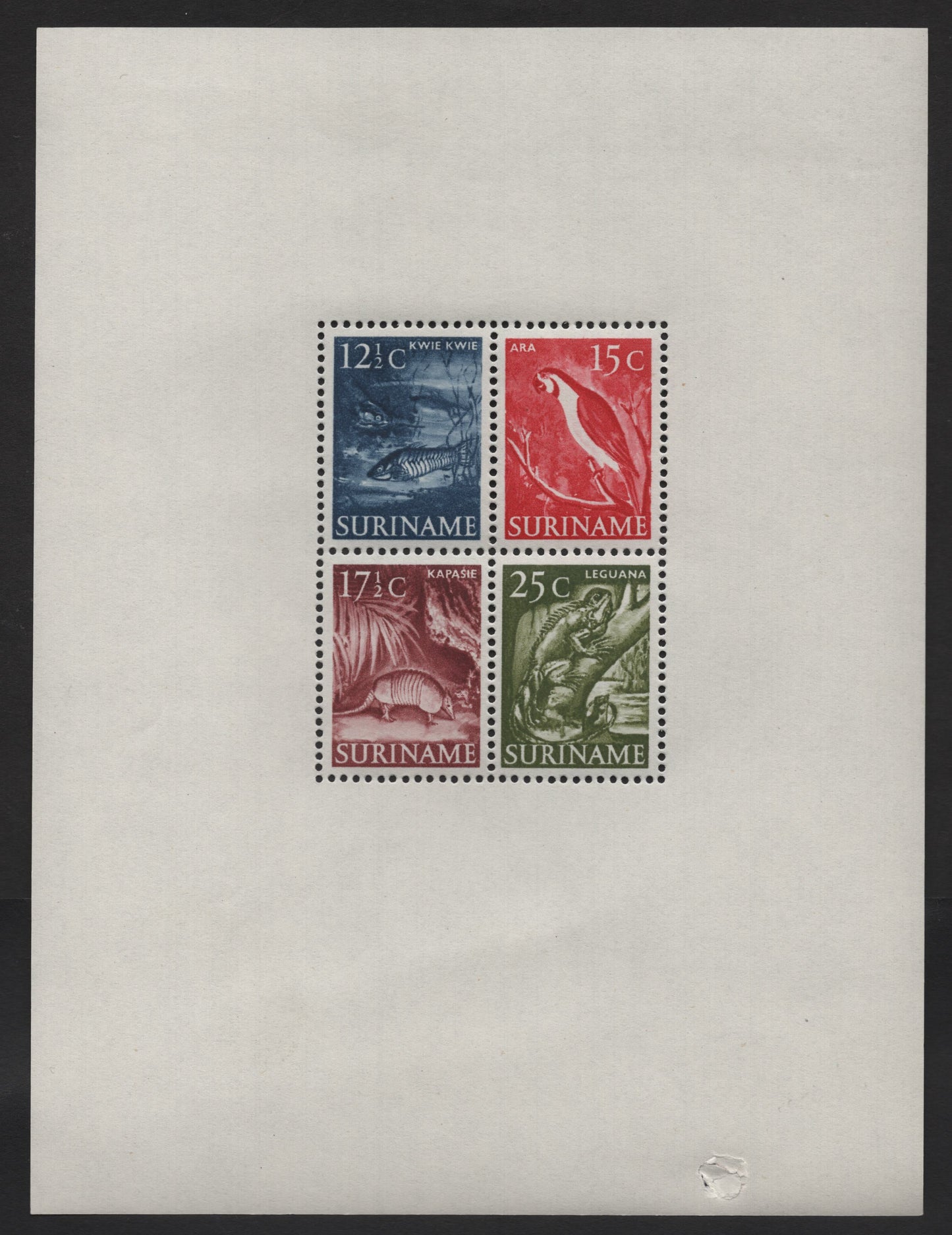 Lot 273 Suriname SC#263a 12.5c - 25c Dark Gray Blue - Olive Green Armored Catfish - Iguana, 1953-1955 Pictorial Issue, A VFNH Miniature Sheet Of 4, Stamps Are Well Centered, But Sheet Has A Hole In the Selvedge