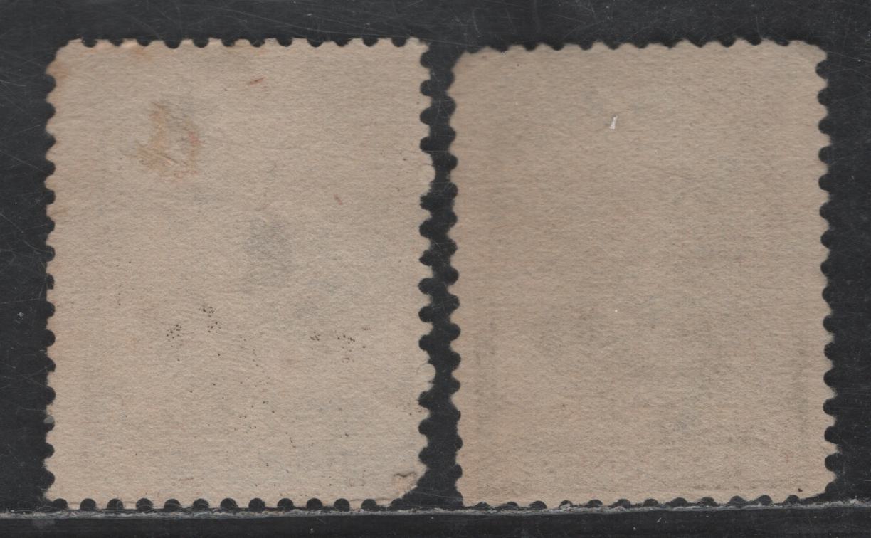 United States Of America SC#205 5c Brown & Grey Brown James Garfield, 1879-1882 American Bank Note Large Banknote Issue, 2 Fine Used Singles