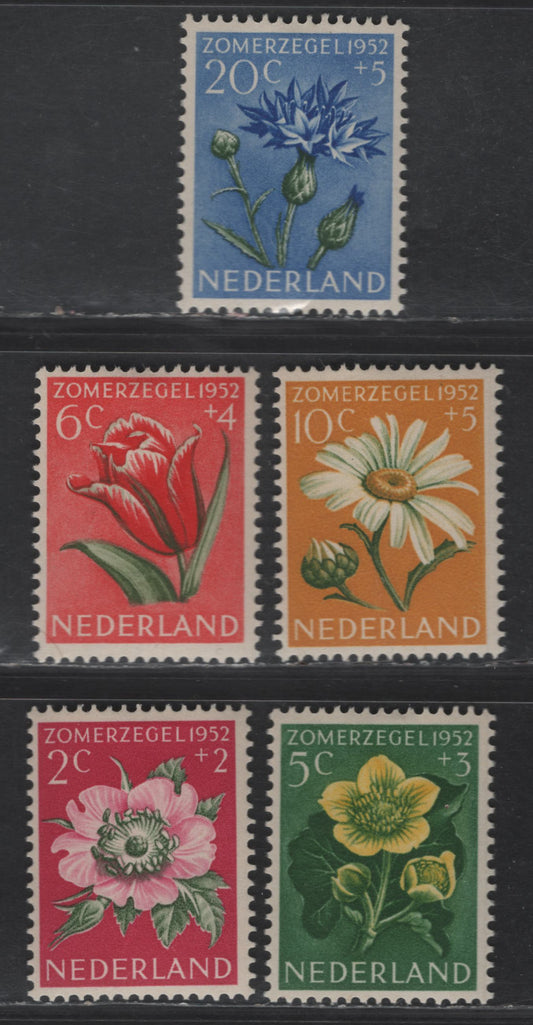 Lot 343 Netherlands SC#B238-B242 2c+2c - 20c+5c Cerise & Blue & Dull Green Scotch Rose - Cornflower, 1952 Semi Postal Issue, 5 VFOG Singles