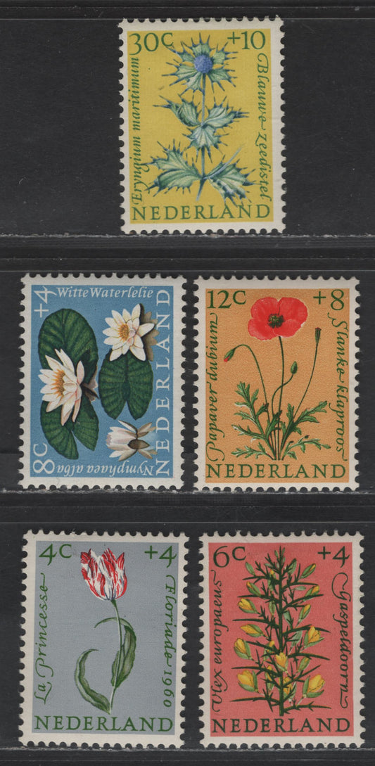 Lot 373 Netherlands SC#B343-B347 4c+4c - 30c+10c Gray, Green & Red - Yellow, Green & Ultramarine Tulip - Blue Sea Holly, 1960 Semi Postal Issue, 5 VFOG Singles