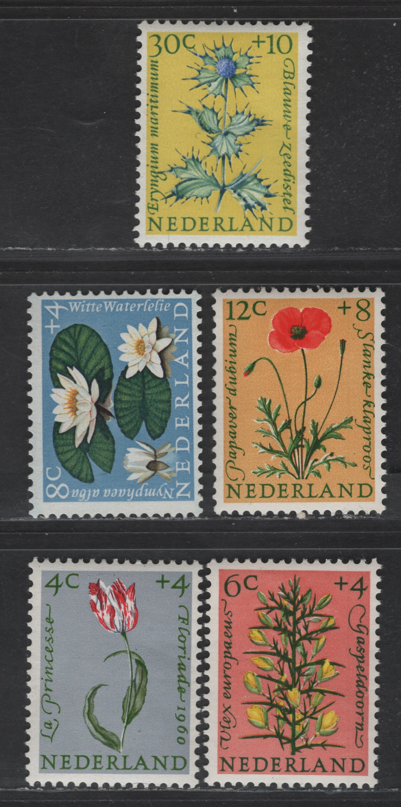 Lot 374 Netherlands SC#B343-B347 4c+4c - 30c+10c Gray, Green & Red - Yellow, Green & Ultramarine Tulip - Blue Sea Holly, 1960 Semi Postal Issue, 5 VFNH Singles