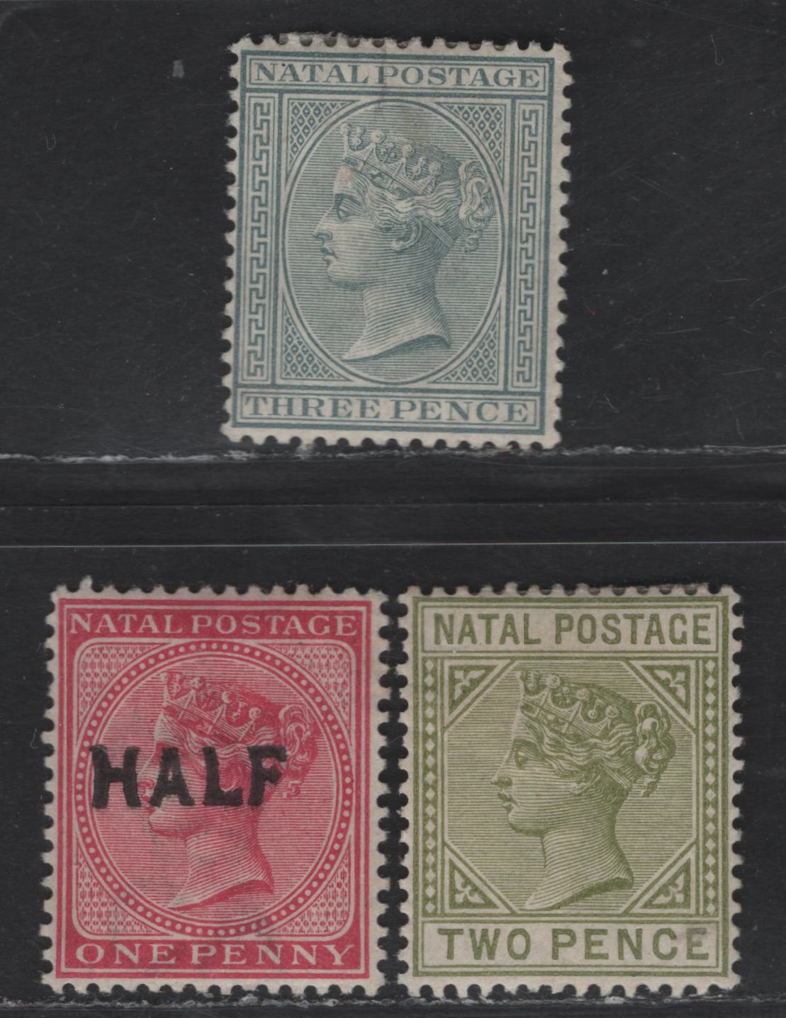 Lot 145 Natal SG#101, 107, 125 2d - 1/2d on 1d Olive Green - Rose Queen Victoria, 1882-1895 Queen Victoria Keyplate Issue, 3 VFOG Single, Crown CA Wmks