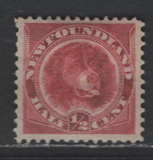 Lot 21 Newfoundland #56a 1/2c Deep Rose Red Newfoundland Dog, 1887-1898 5th Cents Issue, A VFOG Single, Stout Horizontal Wove Paper