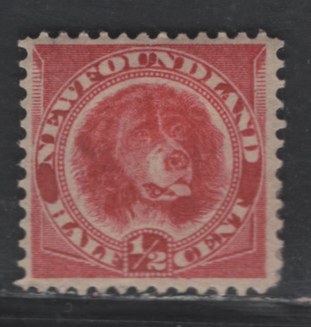 Lot 22 Newfoundland #56 1/2c Rose Red Newfoundland Dog, 1887-1898 5th Cents Issue, A FOG Single