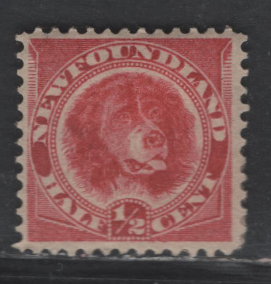 Lot 22 Newfoundland #56 1/2c Rose Red Newfoundland Dog, 1887-1898 5th Cents Issue, A FOG Single