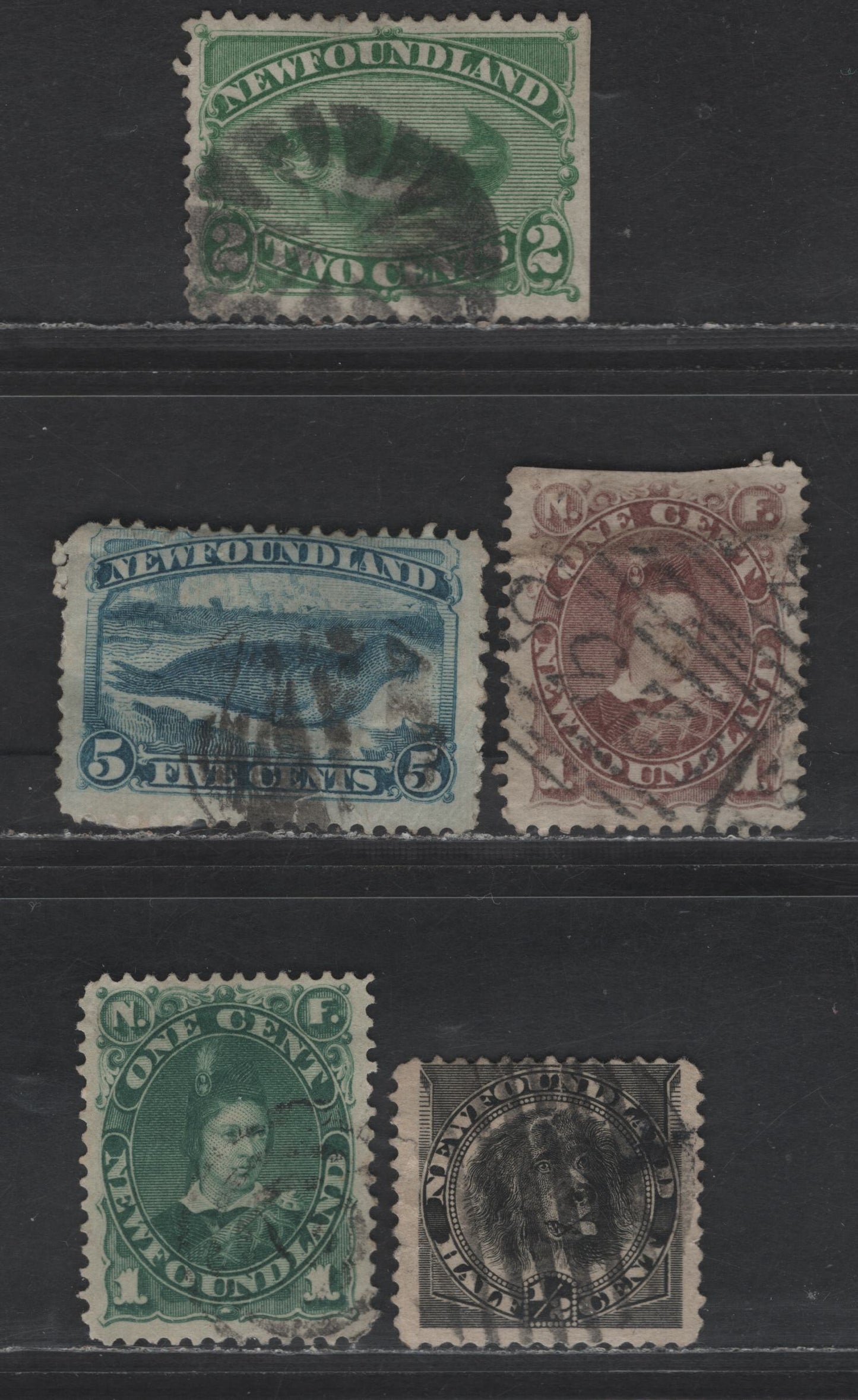 Lot 24 Newfoundland #41, 44, 47, 53, 58 1c - 1/2c Violet Brown - Black Edward Prince of Wales - Newfoundland Dog, 1880-1898 4th & 5th Cents Issues, 5 Ungraded Singles
