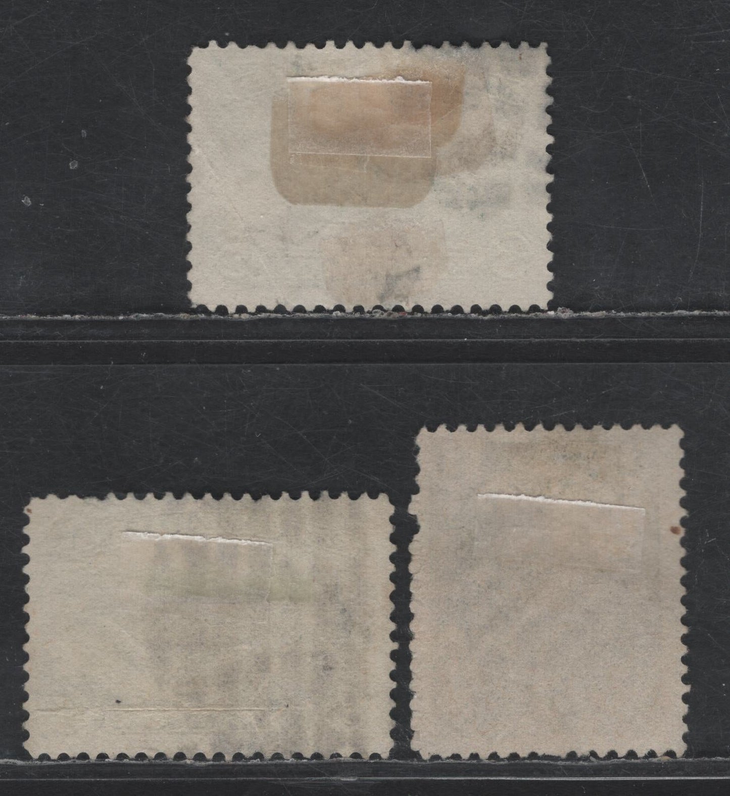 Lot 28 Newfoundland #53-54, 60 5c - 3c Pale Blue - Slate Harp Seal - Queen Victoria, 1880-1890 5th Cents Issue, 3 Very Good/Fine Used Singles, Both 5c Have Light Creases