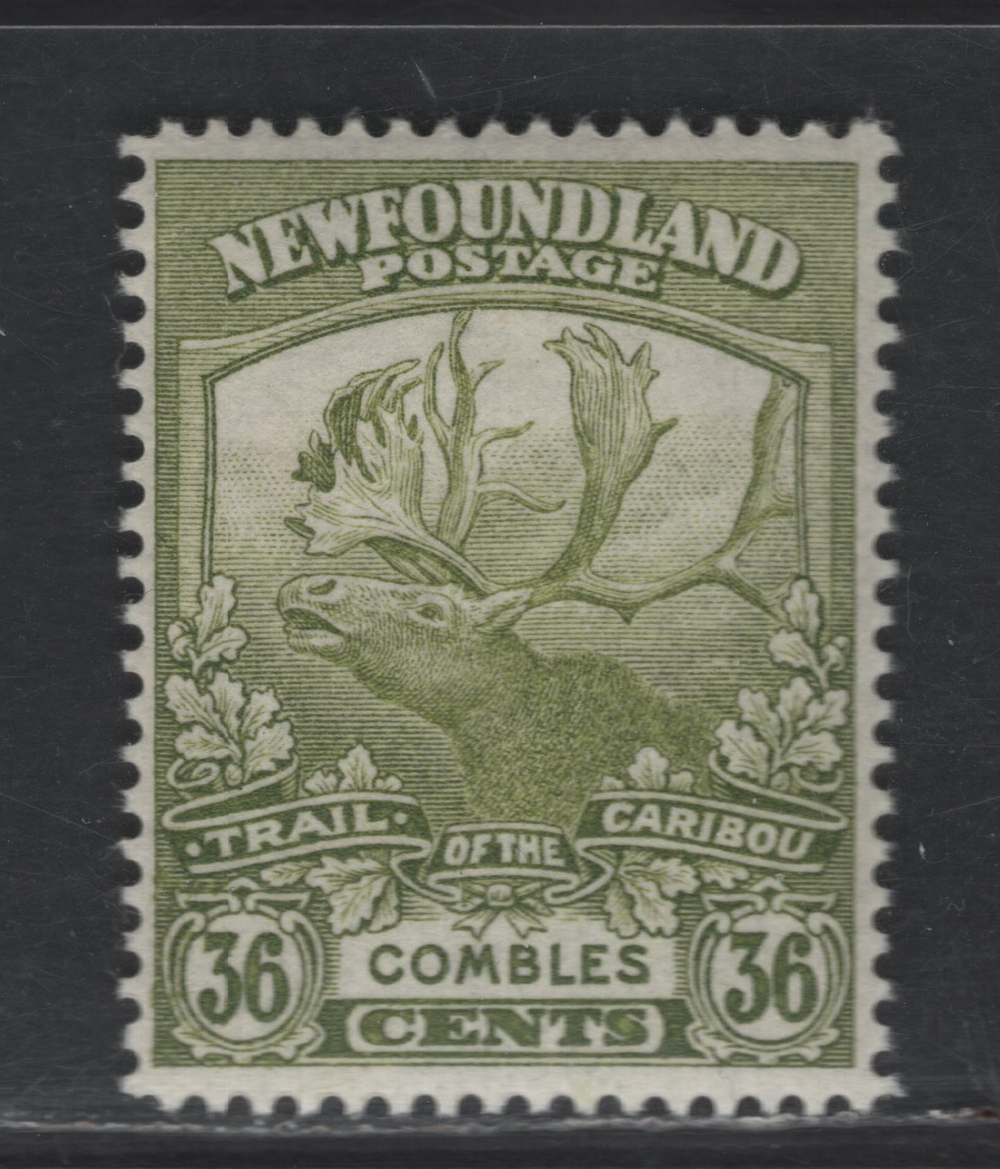 Lot 41 Newfoundland #126 36c Olive Green Combles, 1919 Trail of the Caribou Issue, A VFOG Single, Perf 14.1x14