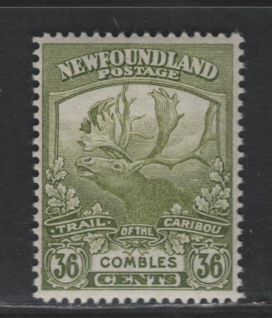 Lot 41 Newfoundland #126 36c Olive Green Combles, 1919 Trail of the Caribou Issue, A VFOG Single, Perf 14.1x14