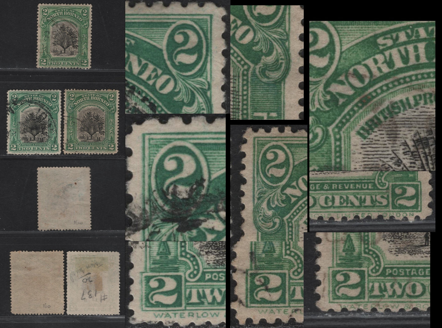 Lot 138 (C) North Borneo SG#160, 160bvar 2c Green & Black Travellers' Tree, 1909-1923 Pictorial Issue, 2 Very Fine Used Singles, All Showing Similar Major Re-entries In Which Large Parts Of The Frame And Outer Value Tablets Are Doubled, Unlisted