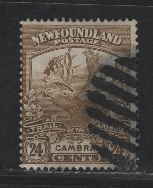 Lot 272 (C) Newfoundland #125 24c Bistre-Brown Cambrai, 1919 Trail Of The Caribou Issue, A Fine Used Single, Paper VM-F, Line Perf 14.2x14