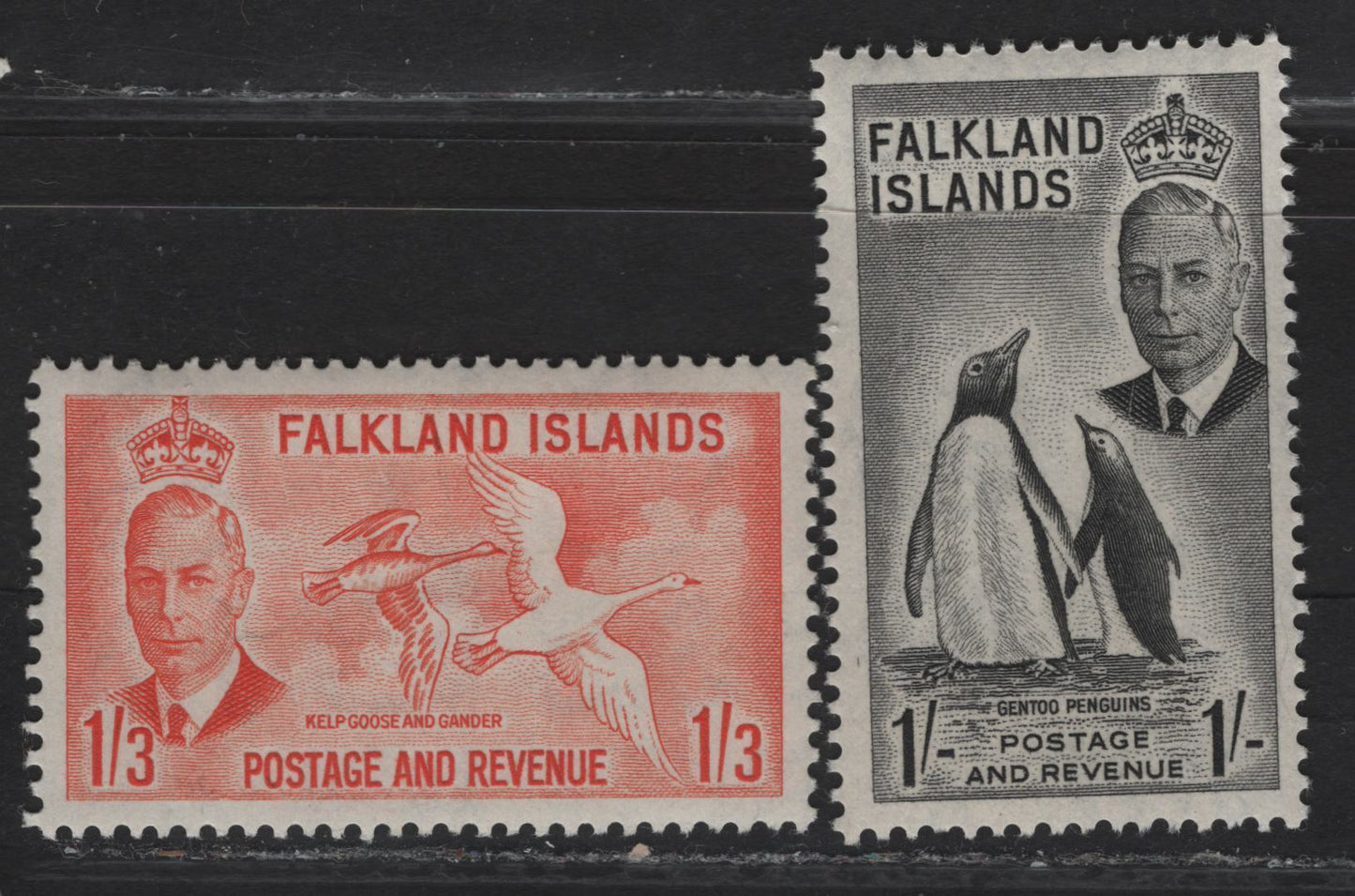 Lot 272 Falkland Islands SG#180-181 1/- - 1/3 Black - Orange Gentoo Penguins - Kelp Goose & Gander, 1952 KGVI Pictorial Issue, 2 VFNH Singles
