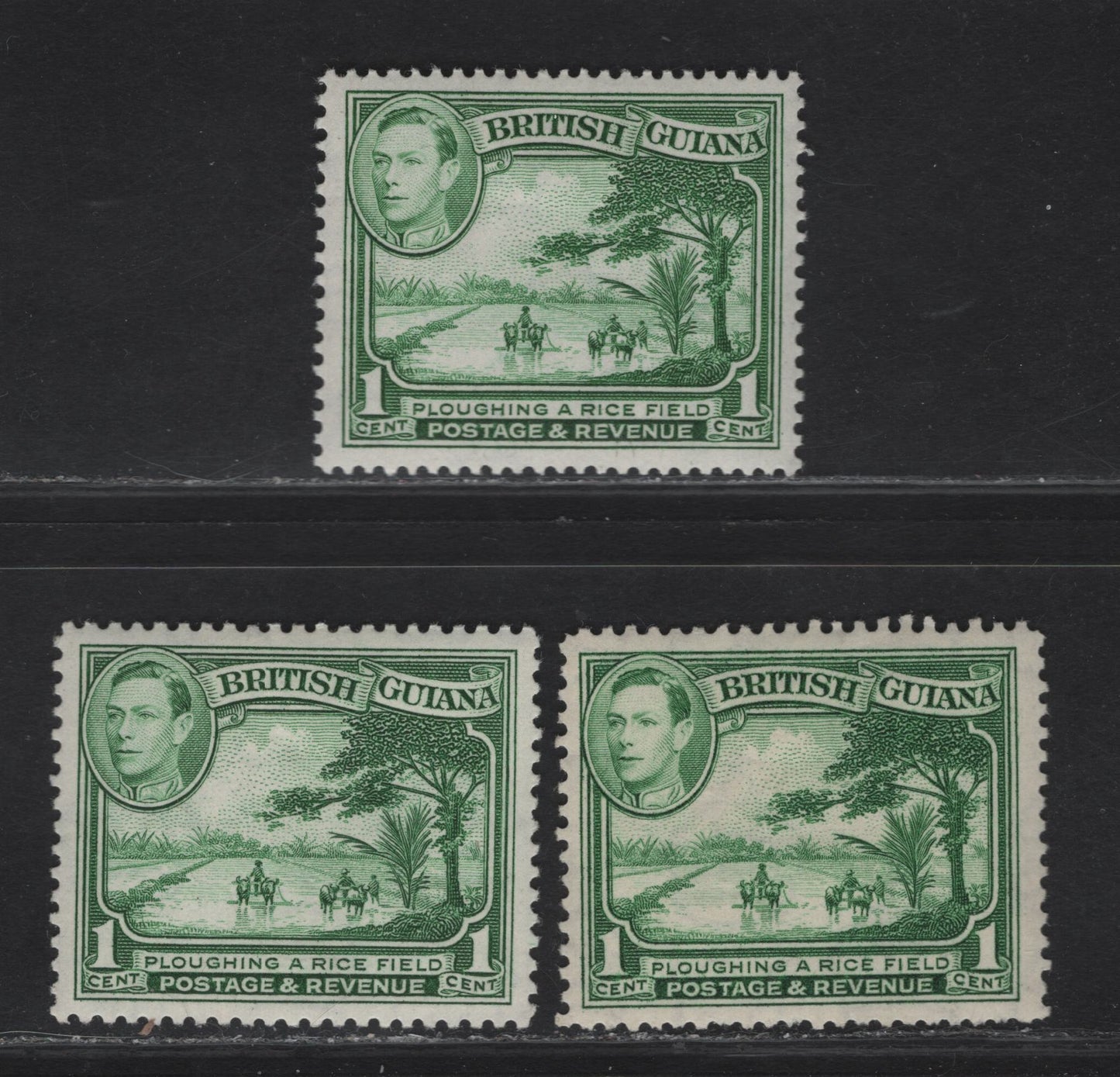 Lot 392 British Guiana SG#308-b 1c Yellow Green - Green Plouging A Rice Field, 1938-1952 KGVI Pictorial Issue, 3 F/VFOG Singles, Perf 14x13