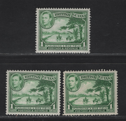 Lot 392 British Guiana SG#308-b 1c Yellow Green - Green Plouging A Rice Field, 1938-1952 KGVI Pictorial Issue, 3 F/VFOG Singles, Perf 14x13