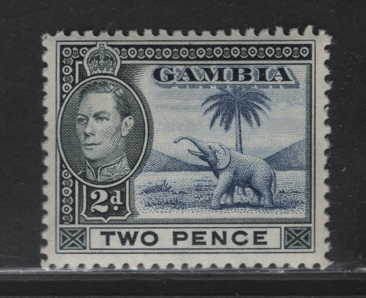 Lot 127 Gambia SG#153 2d Blue & Slate Green Elephant, 1938-1946 Colonial Badge Definitive Issue, A VFNH Single, 1938 Printing
