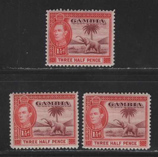 Lot 129 Gambia SG#152-b 1.5d Brown Lake & Bright Carmine - Scarlet & Vermillion Elephant, 1938-1946 Colonial Badge Definitive Issue, 2 F/VFOG Singles, 1938 Printings