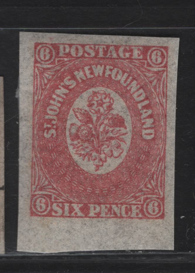 Lot 290 (C) Newfoundland SG#20 6d Rose Flower Heraldry, 1861-1862 3rd Pence Issue, An EFNH Imperf Single, Crisp, Hard Translucent Wove paper