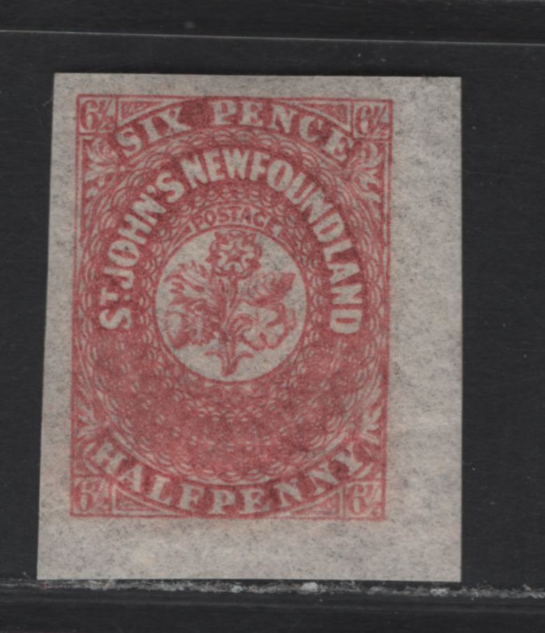 Lot 292 (C) Newfoundland SG#21 6.5d Rose Flower Heraldry, 1861-1862 3rd Pence Issue, A VFOG Imperf Single, Hard Translucent Paper, Diagonal Gum Crease, Mammoth Sized Margins.