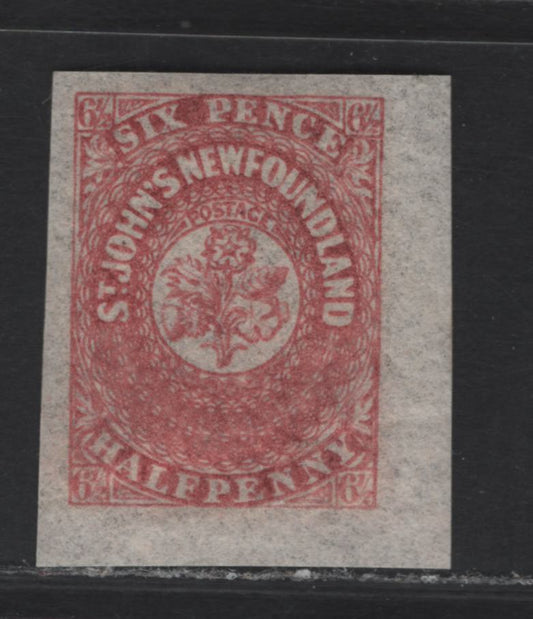 Lot 292 (C) Newfoundland SG#21 6.5d Rose Flower Heraldry, 1861-1862 3rd Pence Issue, A VFOG Imperf Single, Hard Translucent Paper, Diagonal Gum Crease, Mammoth Sized Margins.