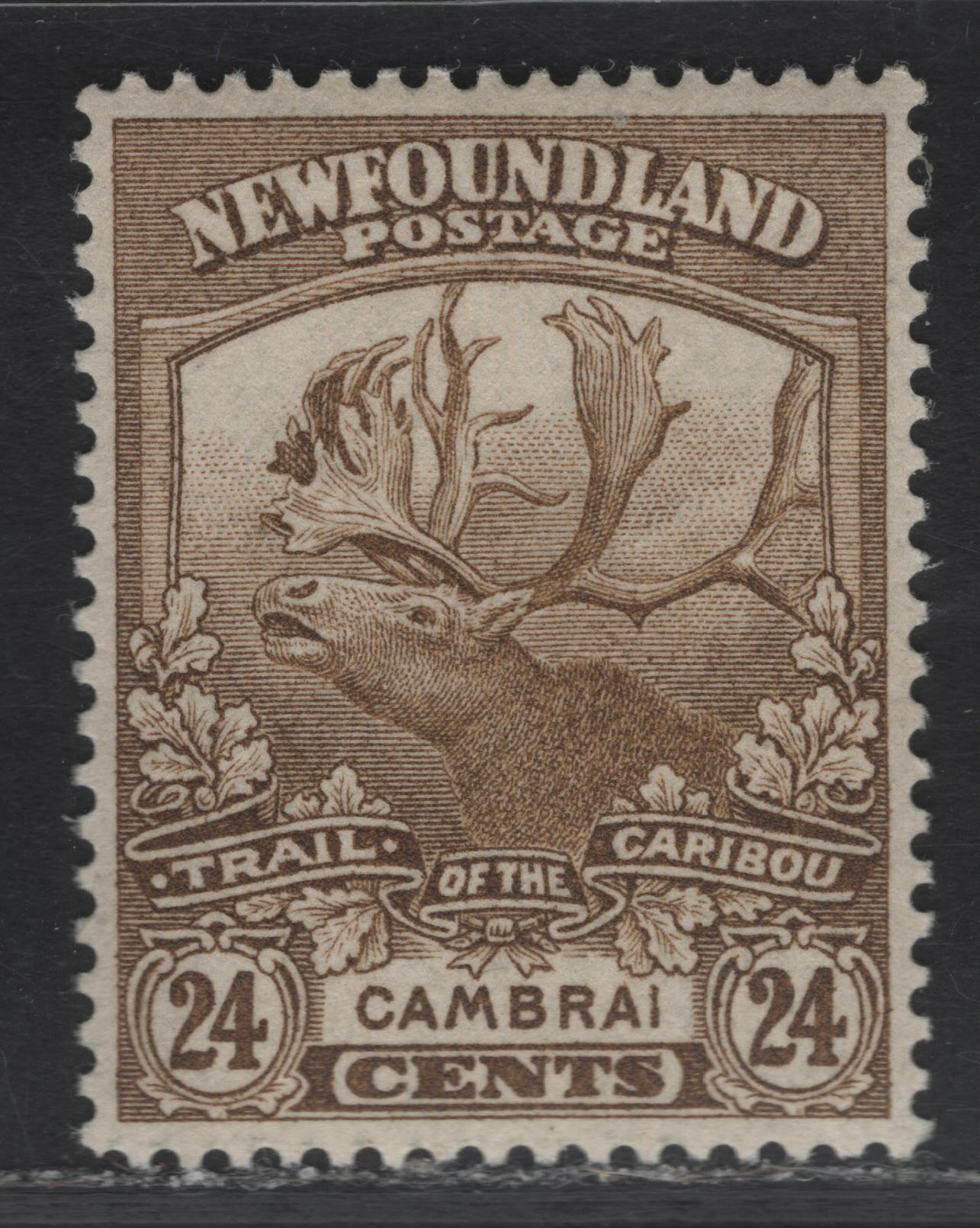Lot 108 (C) Newfoundland #125 24c Bistre Brown Cambrai, 1919 Trail of the Caribou Issue, A VFOG Single, Paper WM-F, Line Perf 14